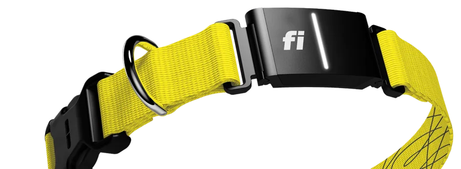 Fi Series 3+ Smart Dog Tracker Collar product image