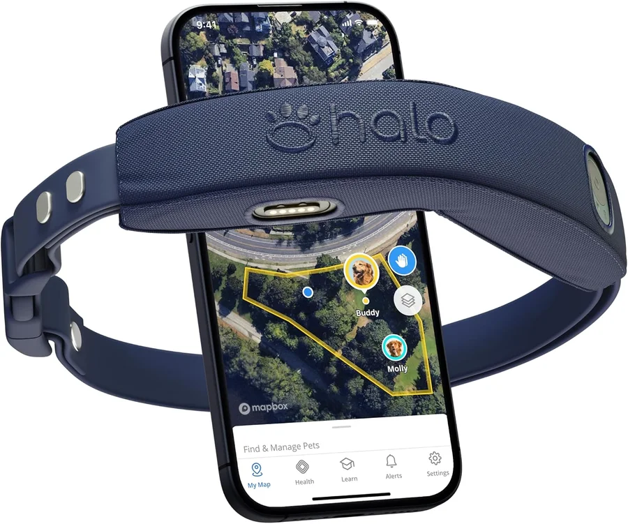 Halo Collar 4 Dog GPS Collar product image
