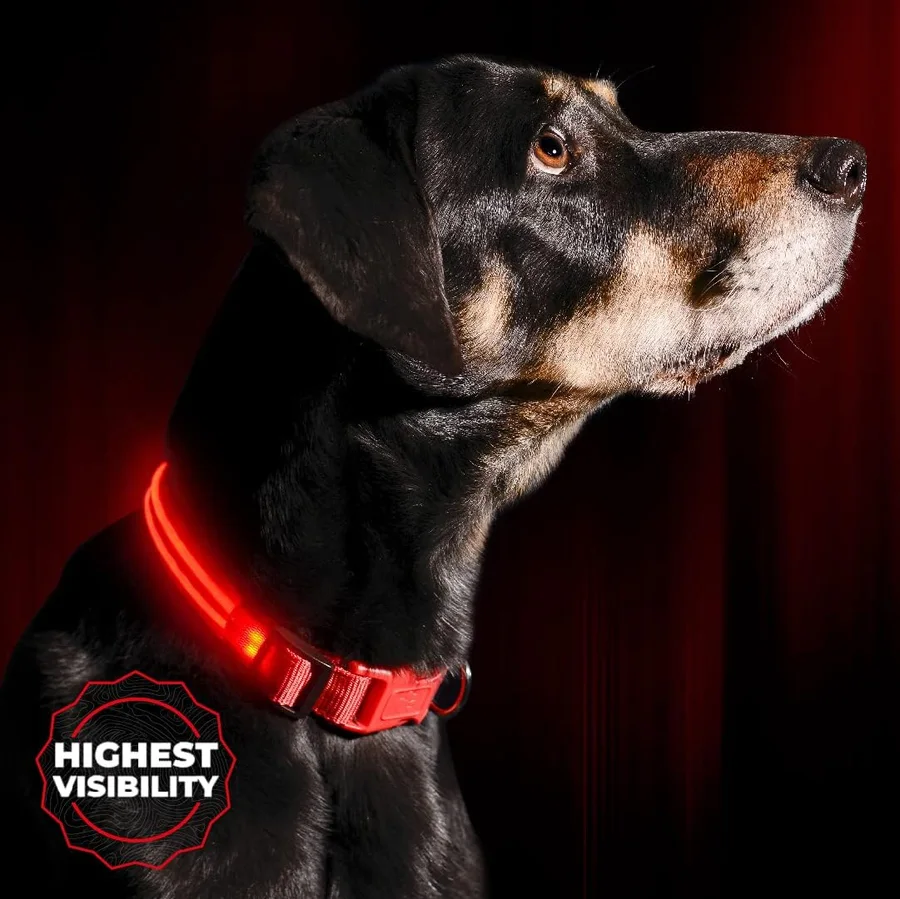 Illumiseen LED Dog Collar product image