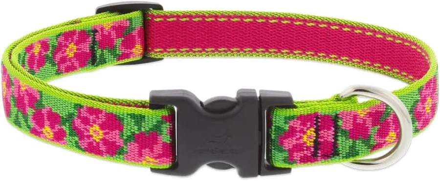 LupinePet Originals Petunias Dog Collar product image
