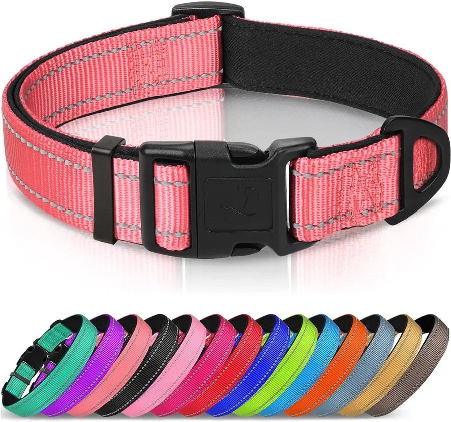 Joytale Reflective Neoprene-Padded Dog Collar product image