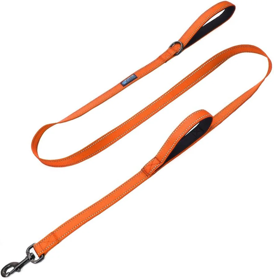 Max and Neo Double Handle Traffic Dog Leash product image