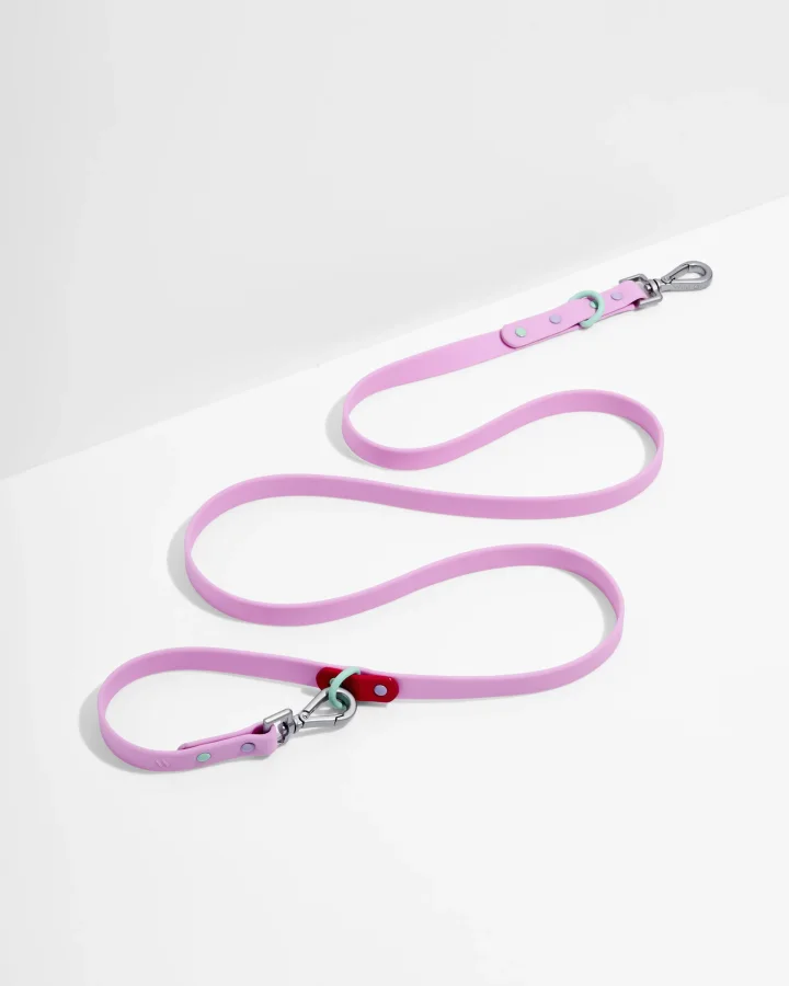 Wild One Waterproof Dog Leash product image