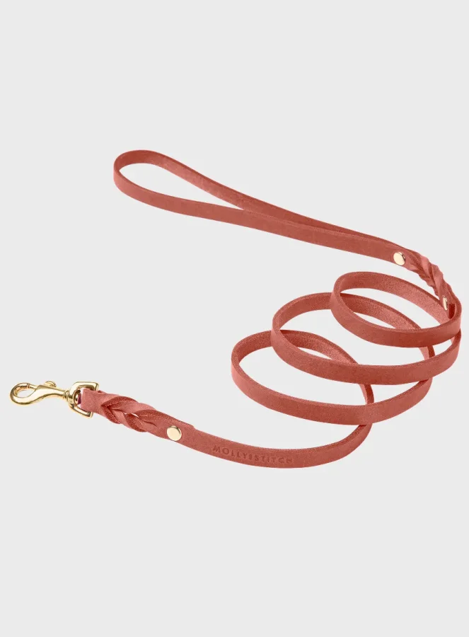 Molly and Stitch Butter Leather City Dog Leash product image
