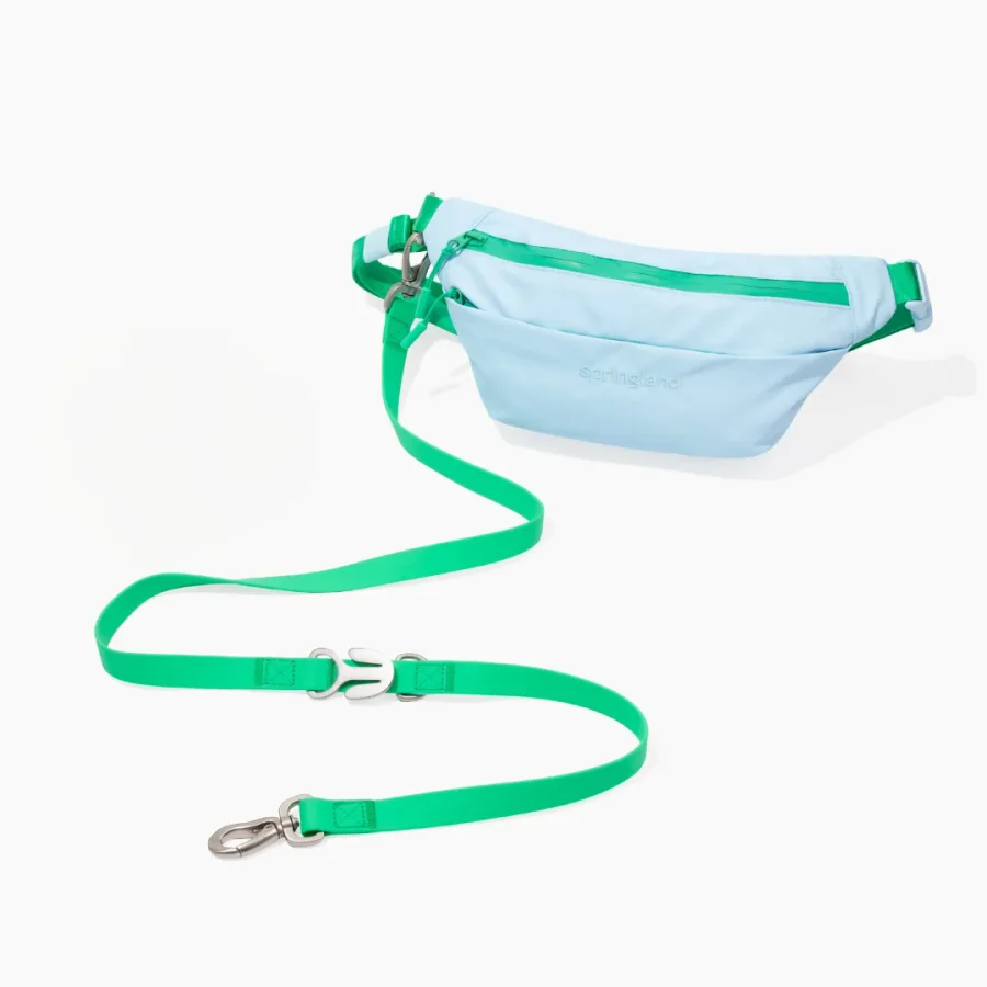 Springland Hands-Free Dog Walking Bag with 4 ft Leash product image
