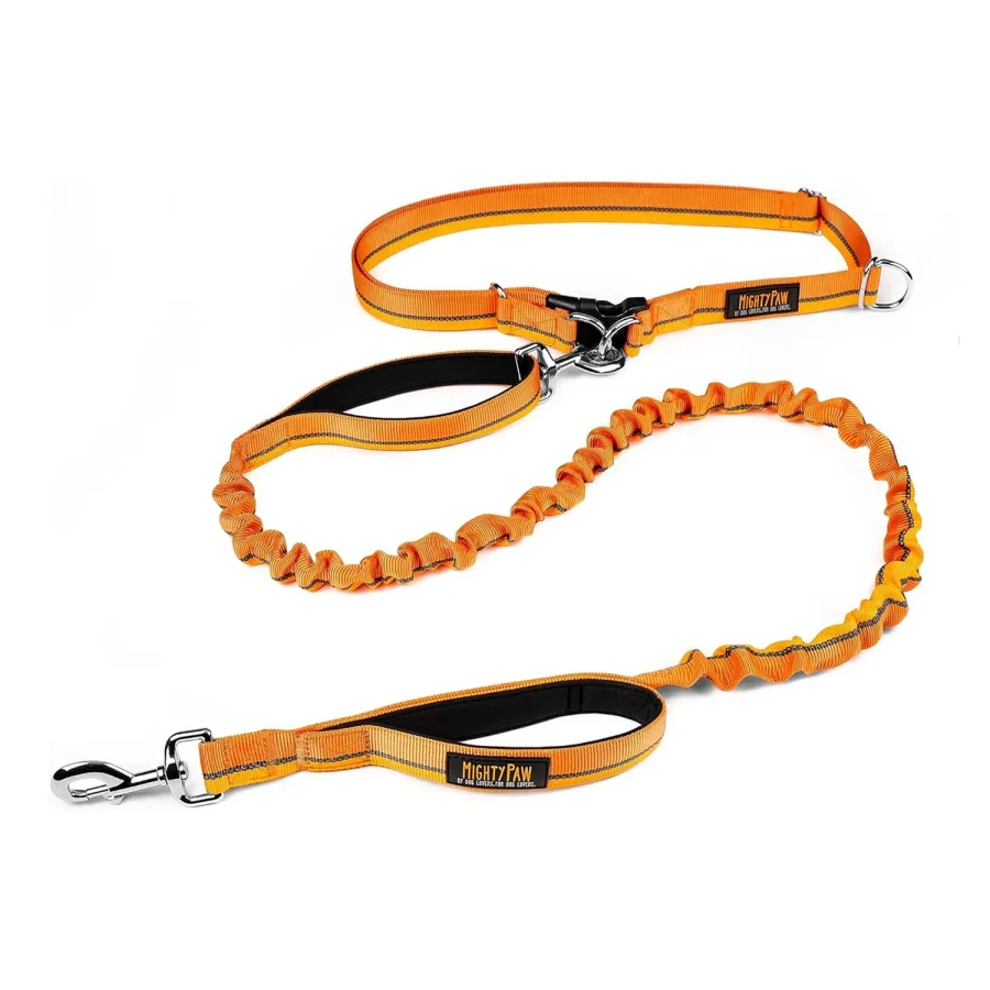 Mighty Paw Hands-Free Bungee Leash Set 2.0 product image