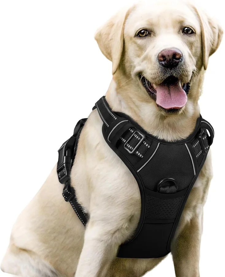 Rabbitgoo Classic No-Pull Dog Harness product image