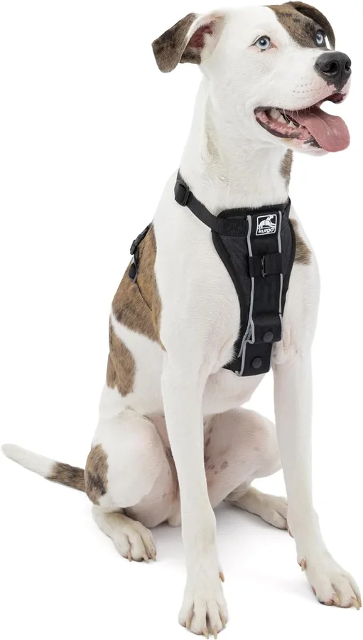 Kurgo Tru-Fit Smart Harness (Quick Release) product image