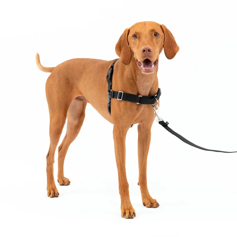 PetSafe Easy Walk Harness product image