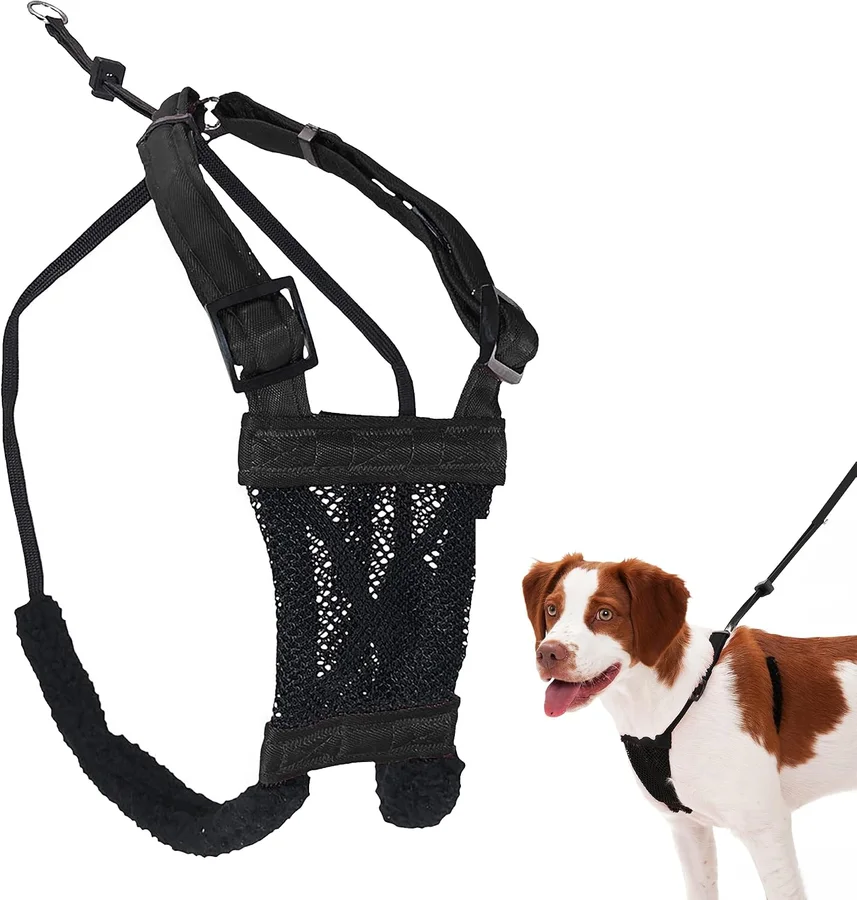 Sporn No Pull Dog Harness product image