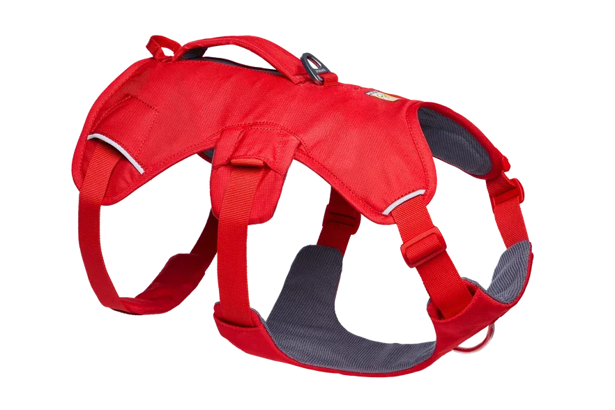 Ruffwear Web Master Dog Harness product image