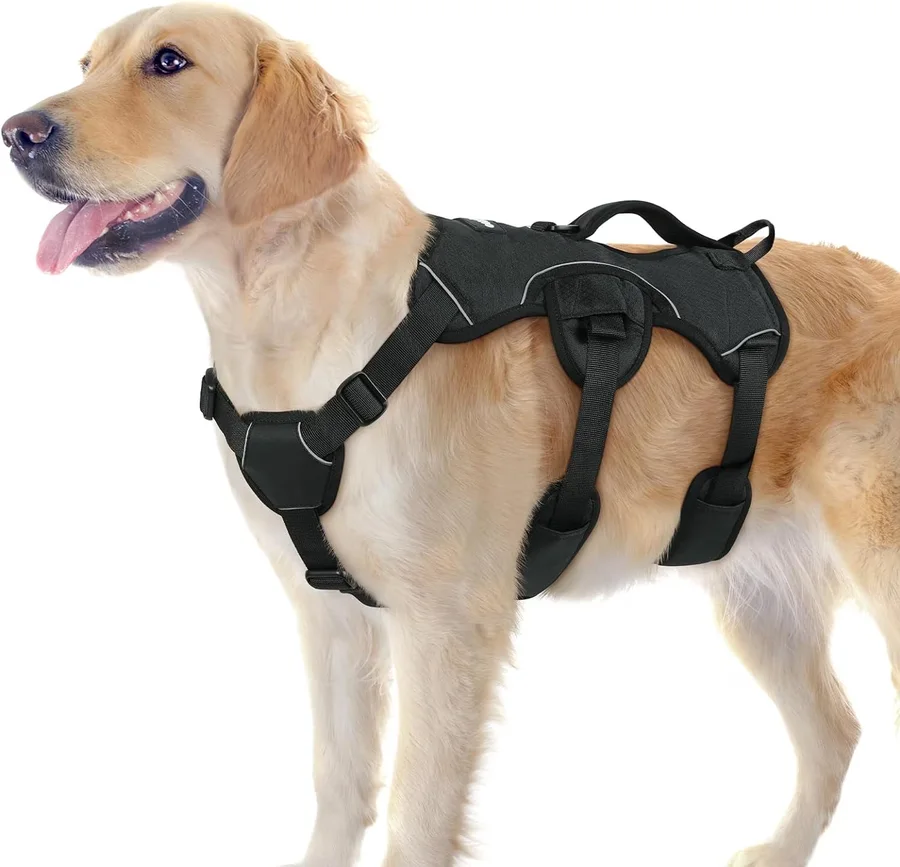 Rabbitgoo Escape-Proof Dog Harness product image