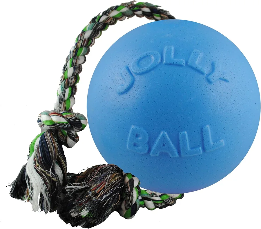 Jolly Pets Romp-n-Roll Ball product image