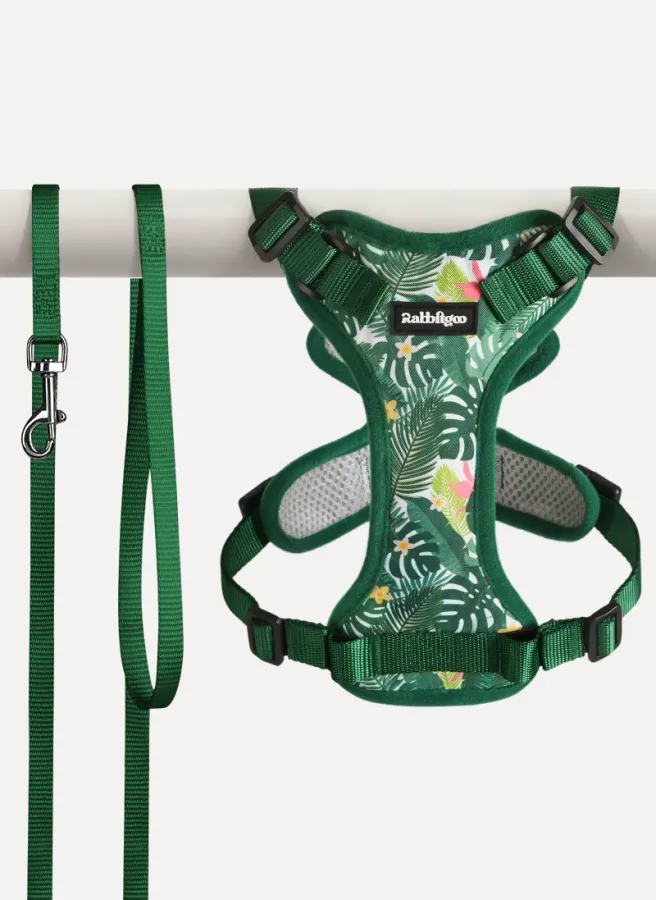 Rabbitgoo Kaleido Adjustable Cat Harness and Leash Set product image