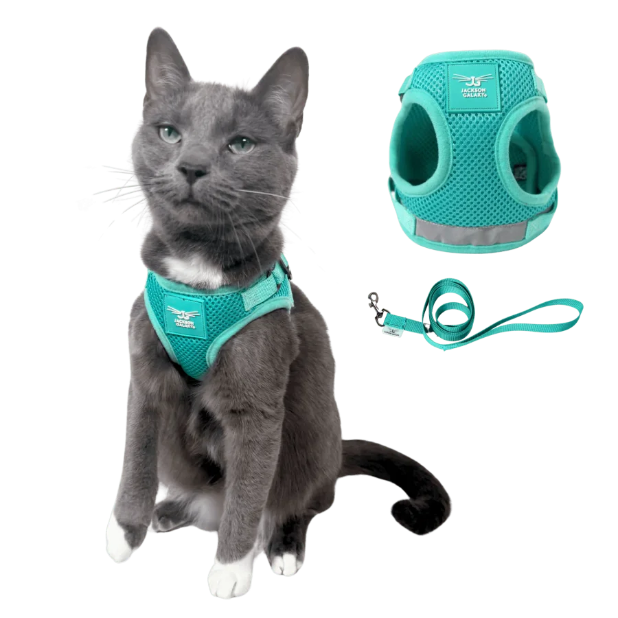 Jackson Galaxy x Travel Cat Harness and Leash Set product image