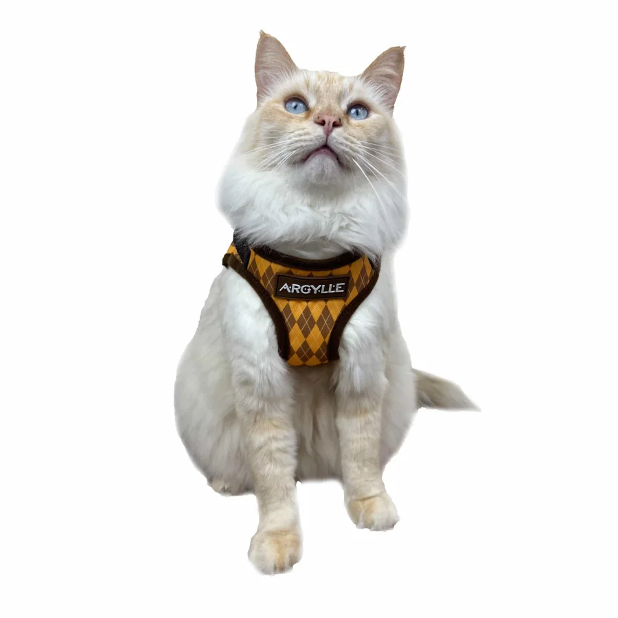 Argylle x Travel Cat Harness and Leash product image