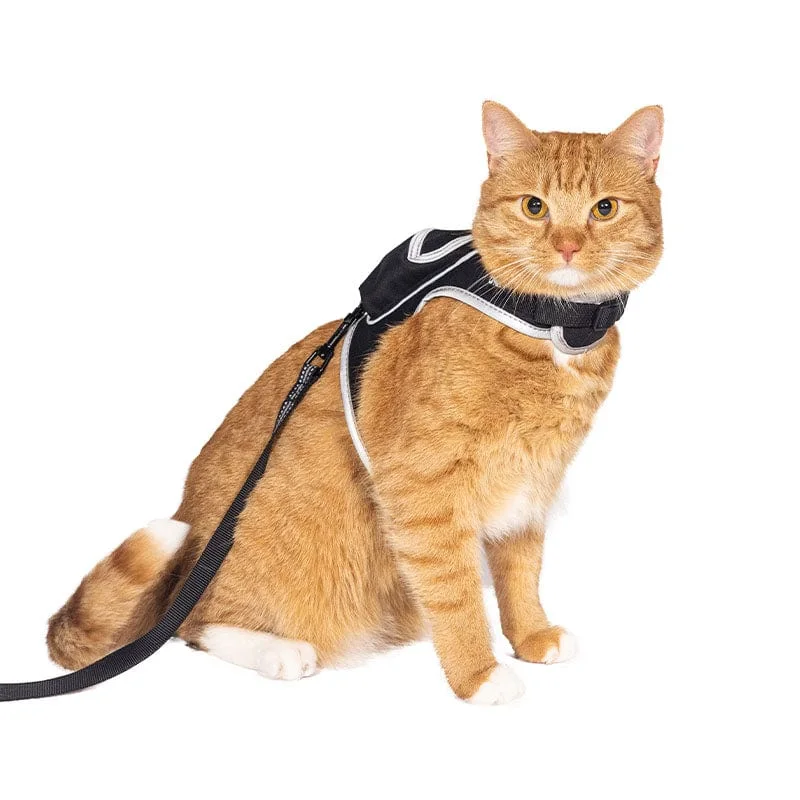 Stray x Travel Cat Harness and Leash Set product image
