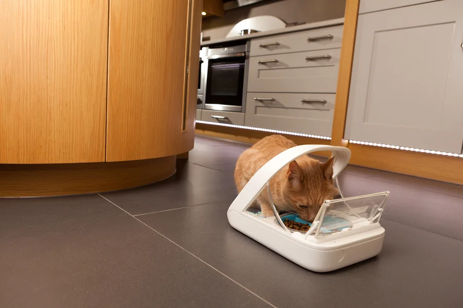 SureFeed Microchip Pet Feeder की उत्पाद छवि
