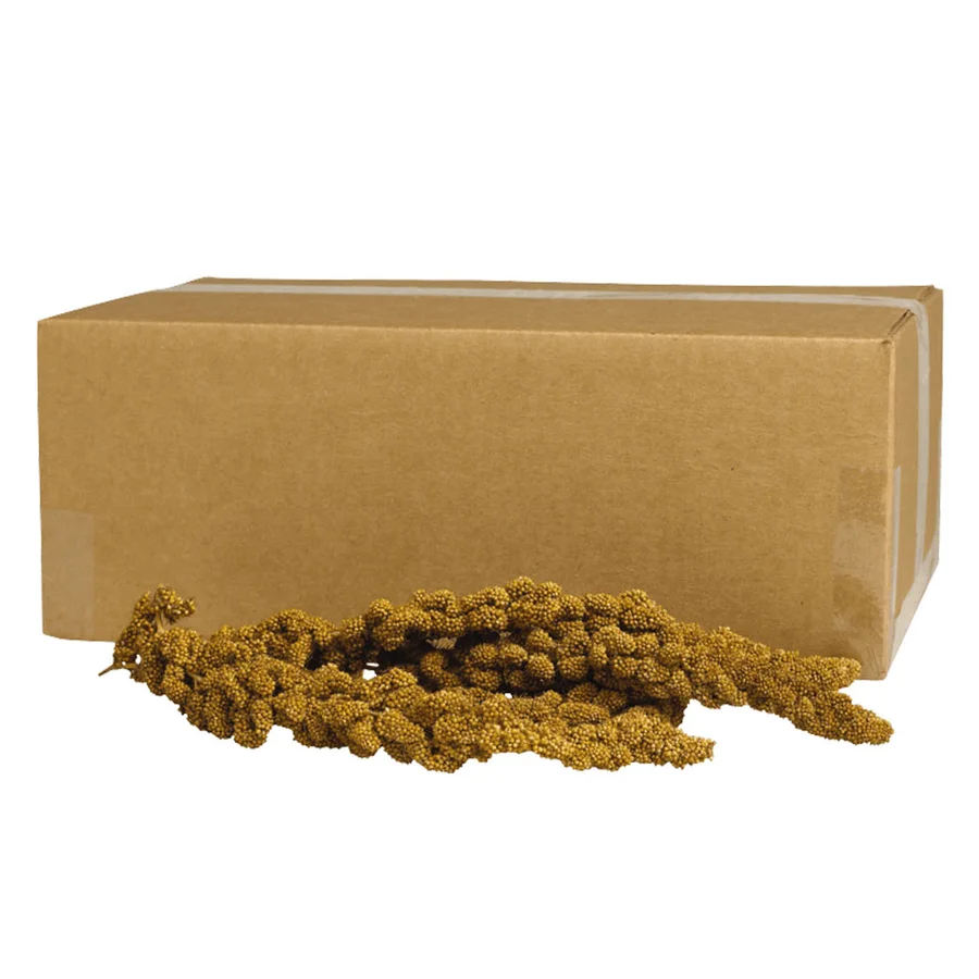 Imagen del producto Kaytee Spray Millet