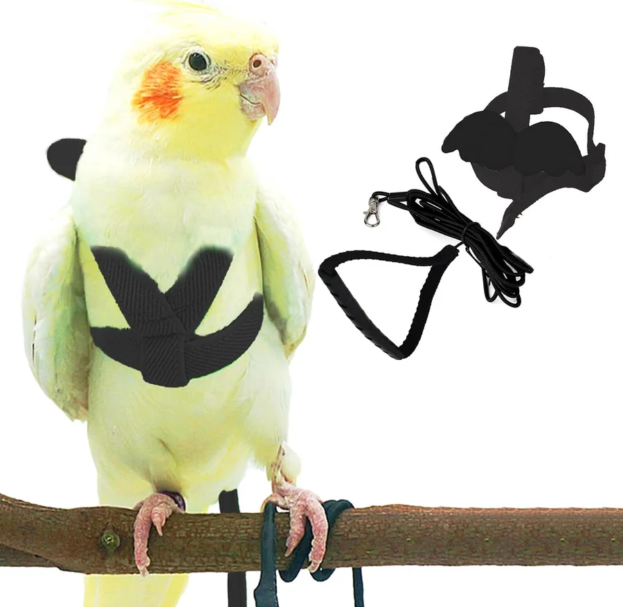 Dnoifne Pet Parrot Bird Harness and Leash产品图片
