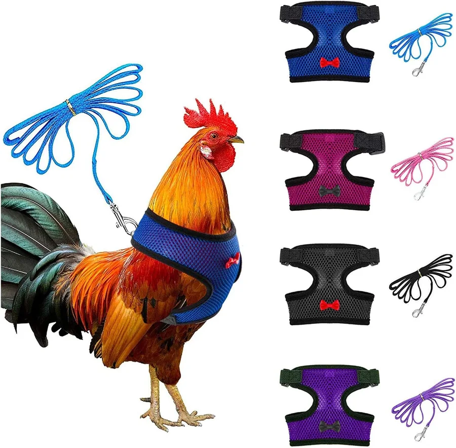 Aulock Adjustable Chicken Harness with Leash产品图片