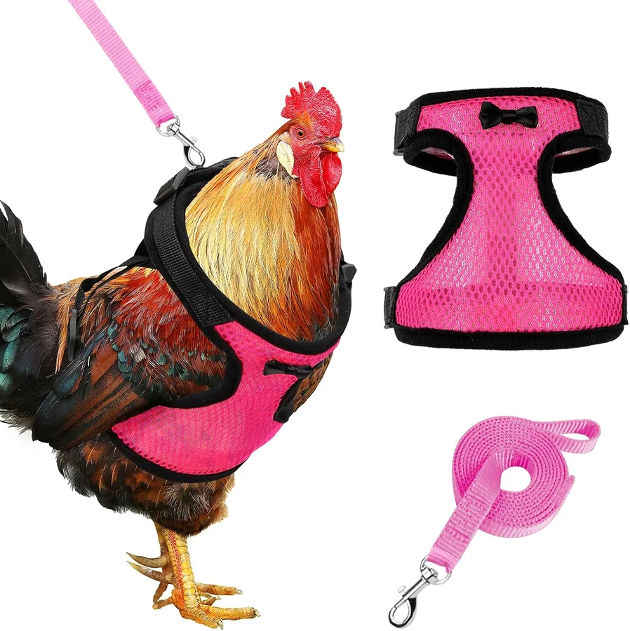 Adhafera Double-Adjustment Chicken Harness with Leash产品图片