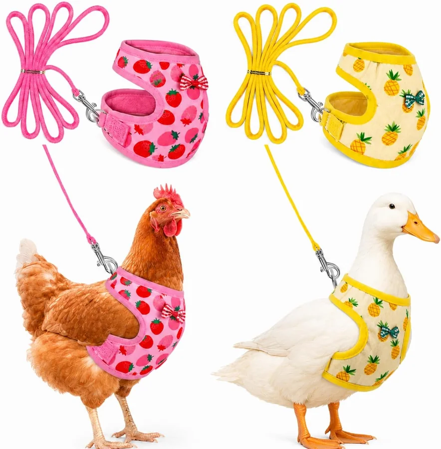 Frienda Adjustable Chicken Harness and Leash Set产品图片