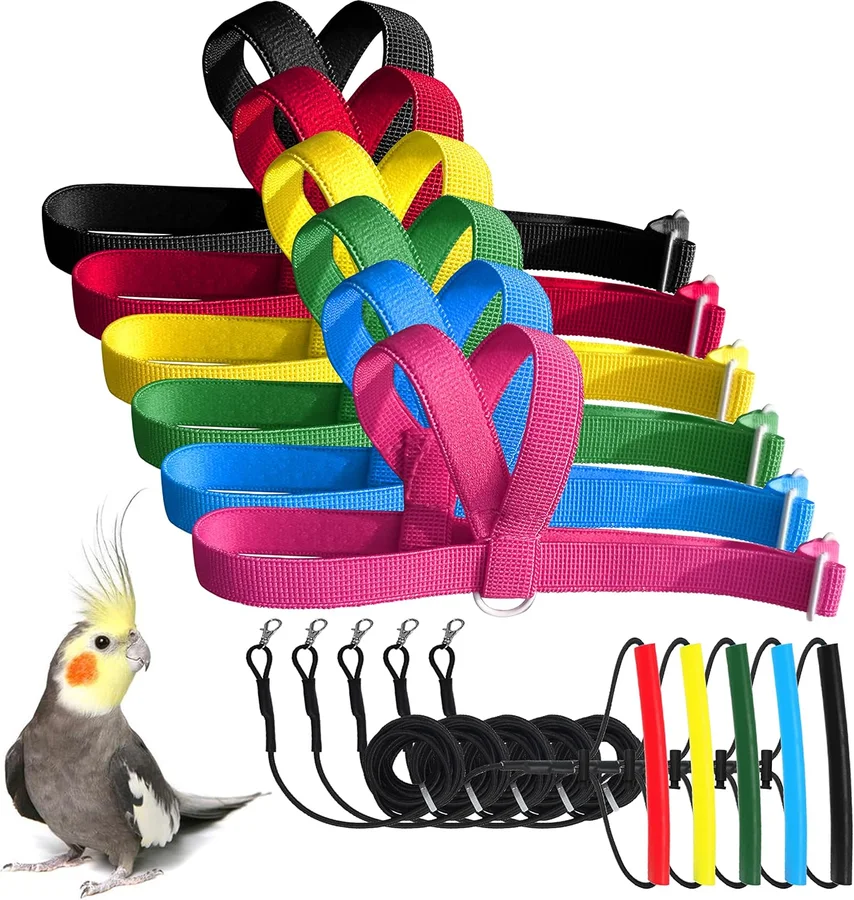 Produktbild von VANFAVORI Adjustable Bird Harness with Elastic Leash