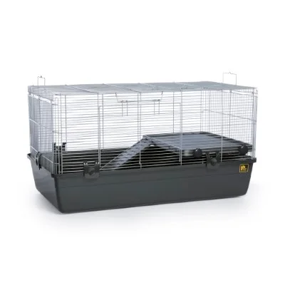 Prevue Universal Small Animal Home 528 की उत्पाद छवि