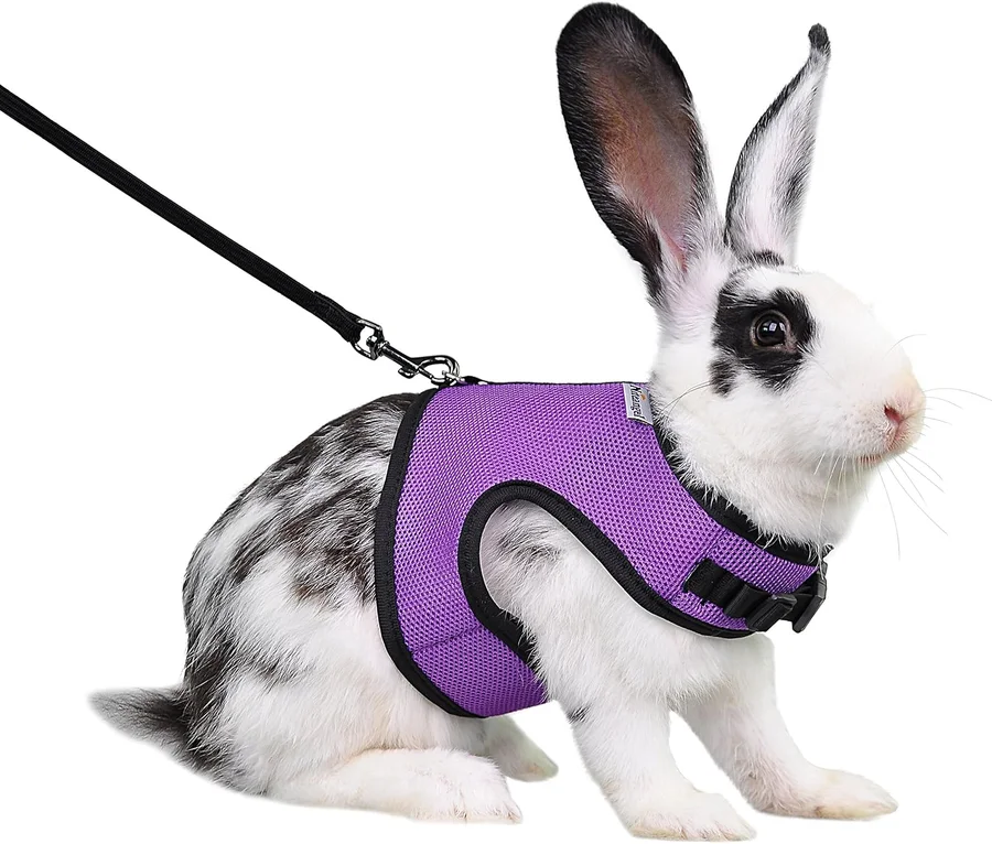 صورة منتج Niteangel Adjustable Soft Harness with Elastic Leash — XL