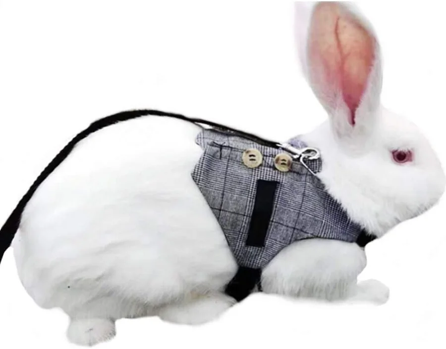 صورة منتج Hypeety Multipurpose Rabbit Vest Harness — Small