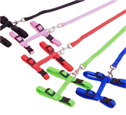 صورة منتج All Things Bunnies H Style Harness and Leash for Rabbit Jumping