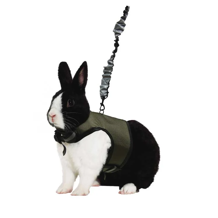 Kaytee Comfort Harness & Stretchy Leash 제품 이미지