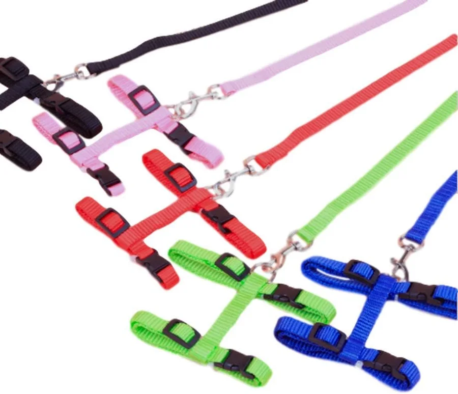 All Things Bunnies Bunny Harness & Leash Set 제품 이미지