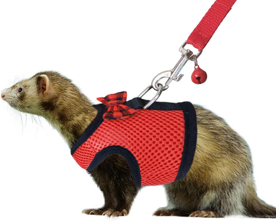 RYPET Rabbit Harness and Leash 제품 이미지