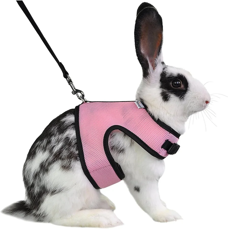 Niteangel Adjustable Soft Harness with Elastic Leash 제품 이미지